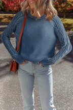 Contrast Cable Knit Sleeve Casual Sweater