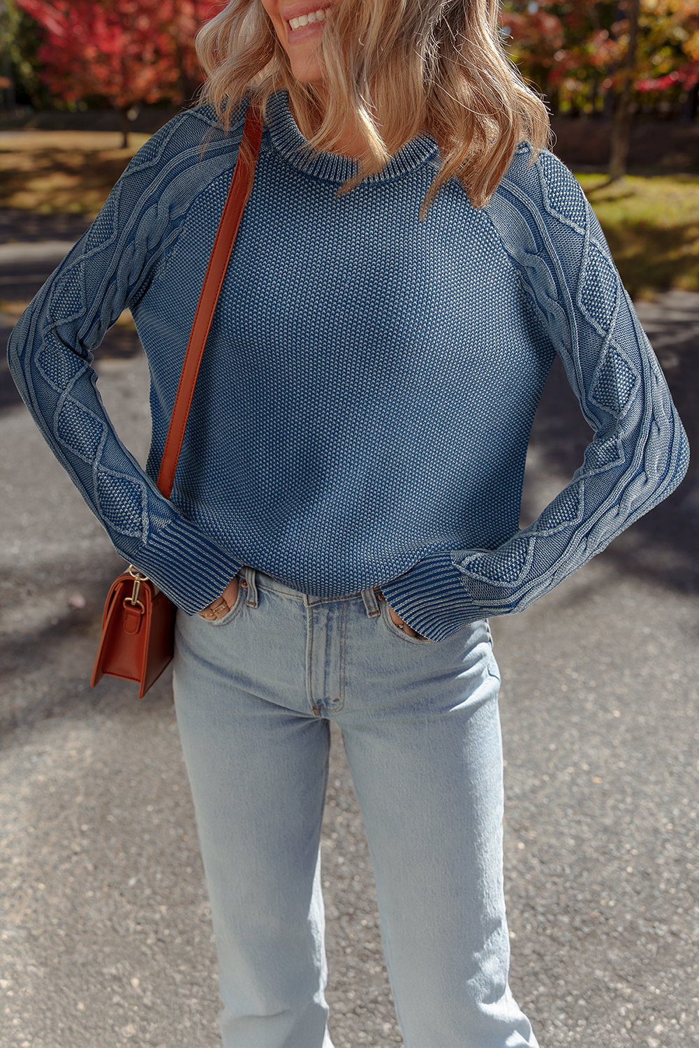 Contrast Cable Knit Sleeve Casual Sweater