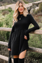 Black Frilled Neck Ribbed Knit Patchwork Long Sleeve Mini Dress