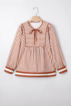 Brown Stripe Babydoll Long Sleeve Blouse